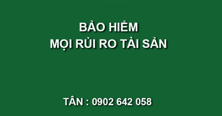 bao hiem moi rui ro tai san