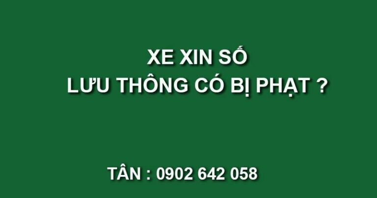 xe xin so co duoc luu thong