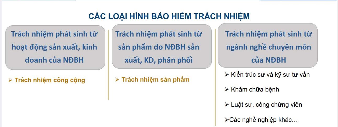Bảo hiểm trách nhiệm là gì ? 5 Các sản phẩm bảo hiểm trách nhiệm