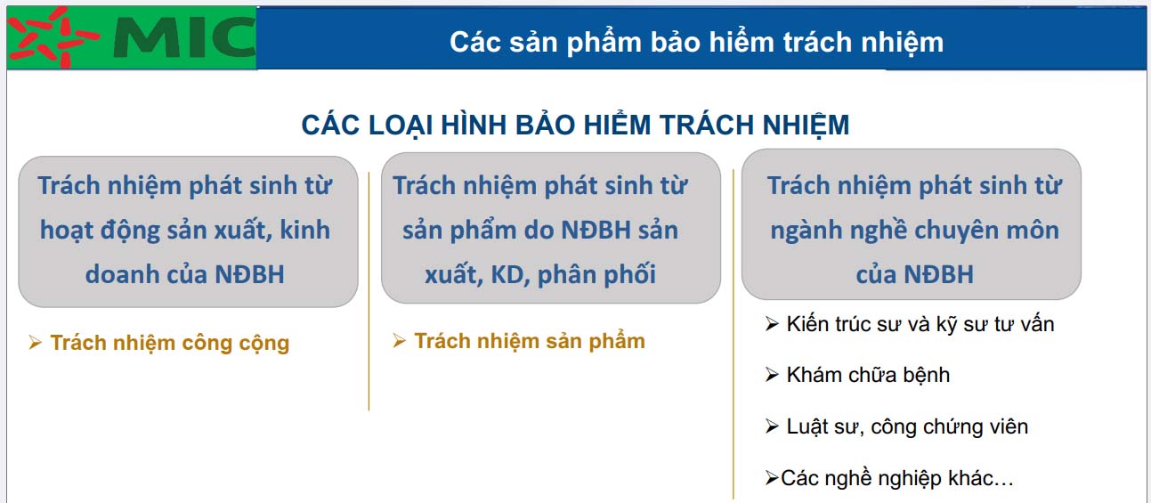 Các sản phẩm bảo hiểm trách nhiệm